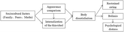 Enriching sociocultural perspectives on the effects of idealized body norms: Integrating shame, positive body image, and self-compassion